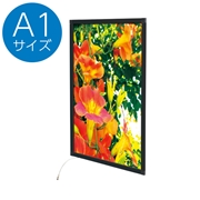 イージーライトパネル ver2.0 A1 ブラック 62160A1B(法人名必須)